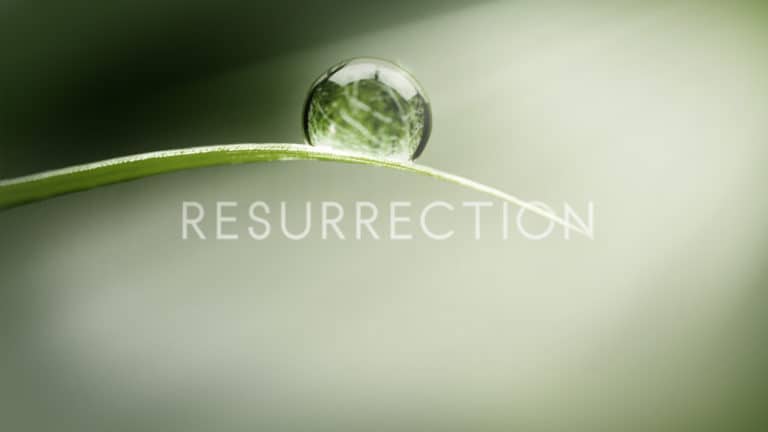 #Resurrection