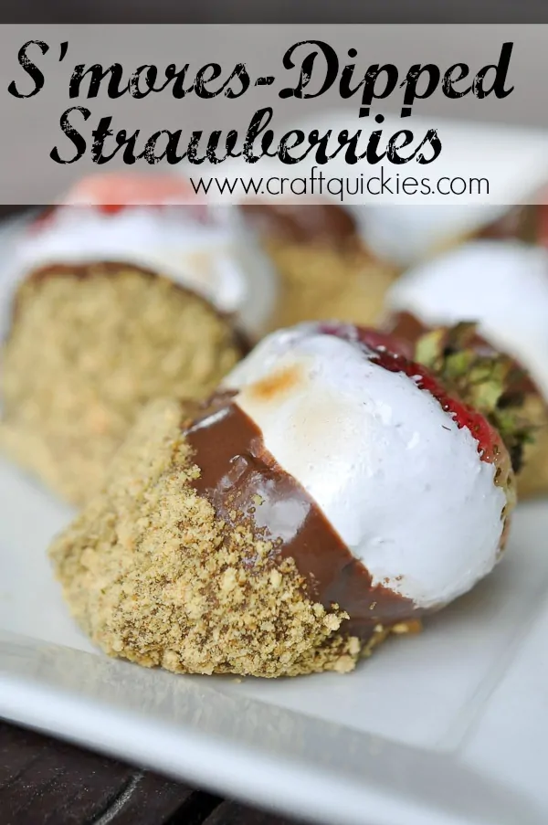 *Smores-Dipped-Strawberries-from-Craft-Quickies