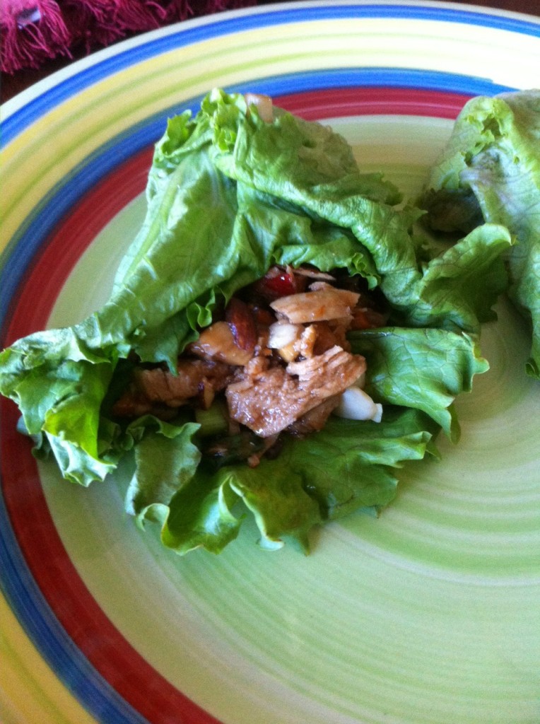 Chicken and Mushroom Lettuce Wraps