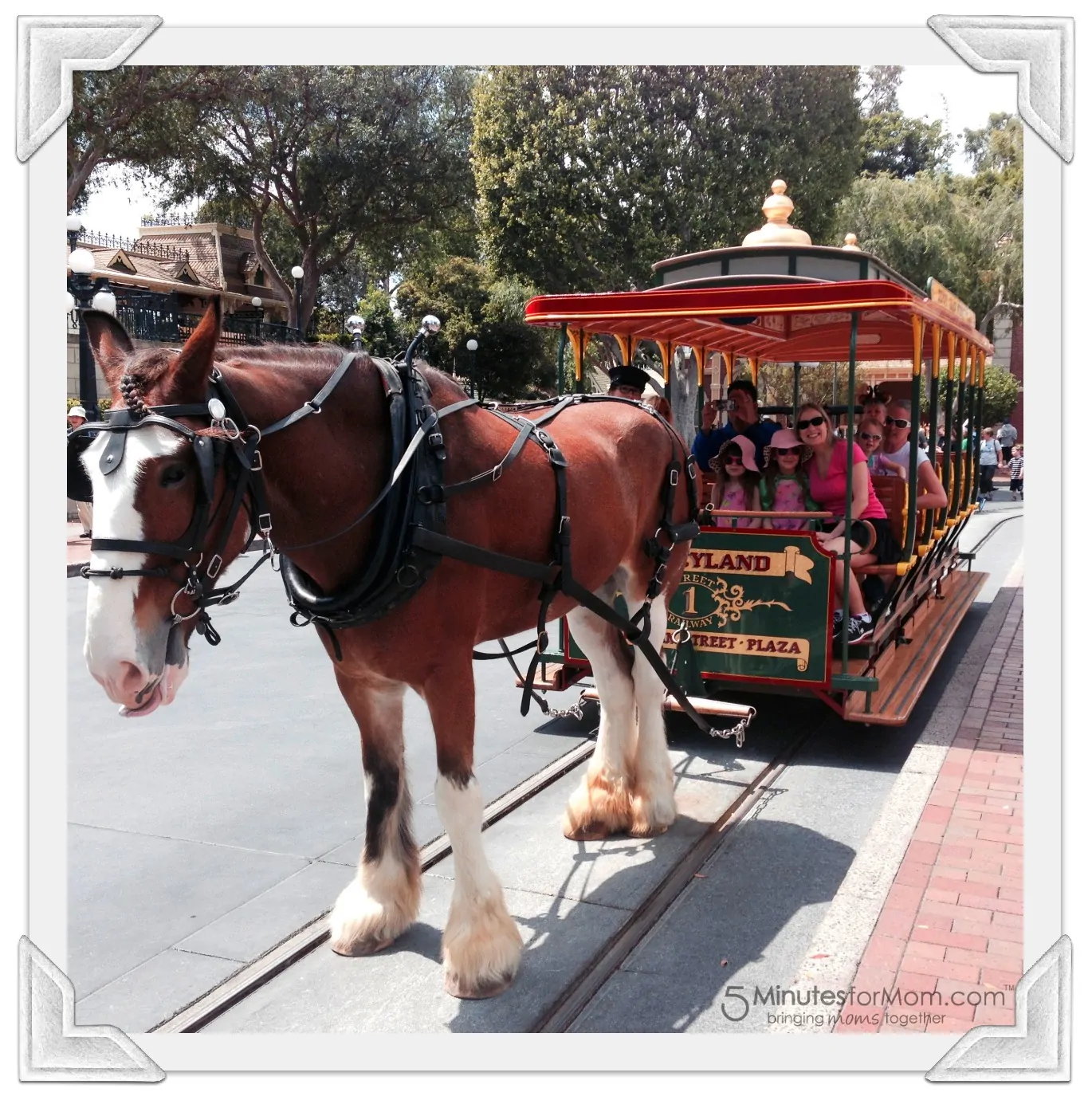 Disneyland Horse and Carriage Ride