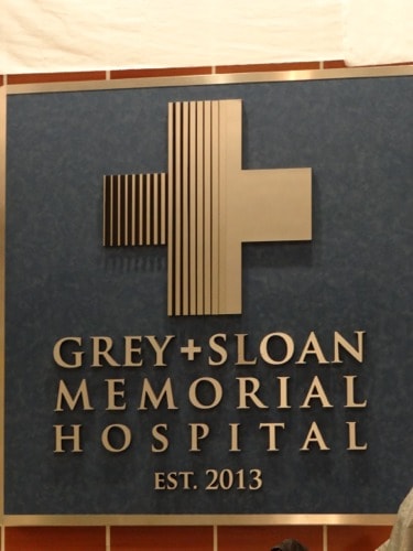 Grey's Anatomy - Grey Sloan Memorial 2013 - #ABCTVEVENT