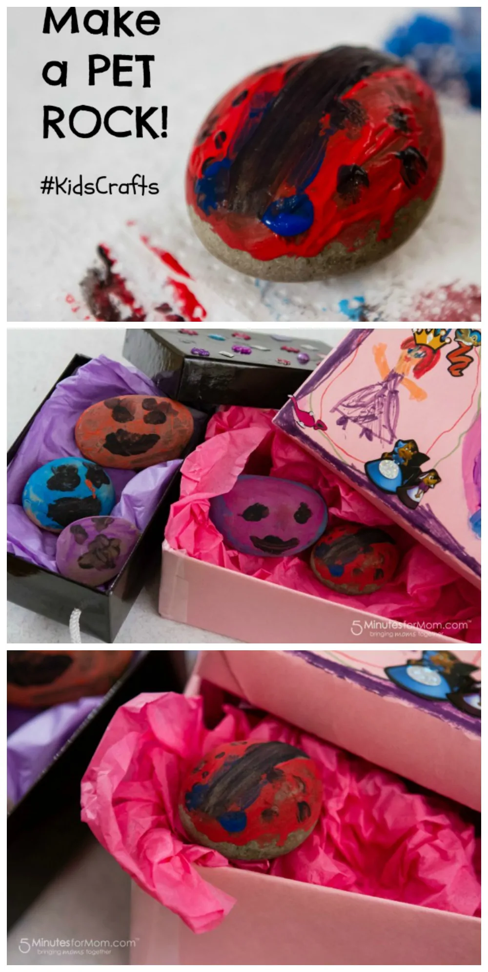 Make a Pet Rock - Craft for Kids