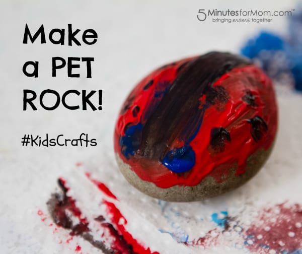 Pet Rock Kids Craft