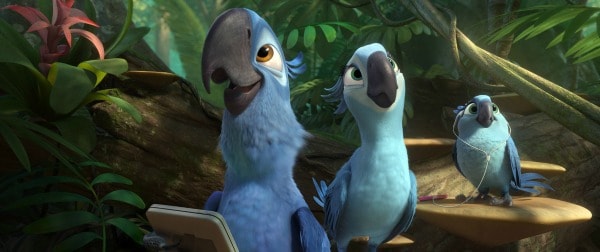 rio-2 birds with technology