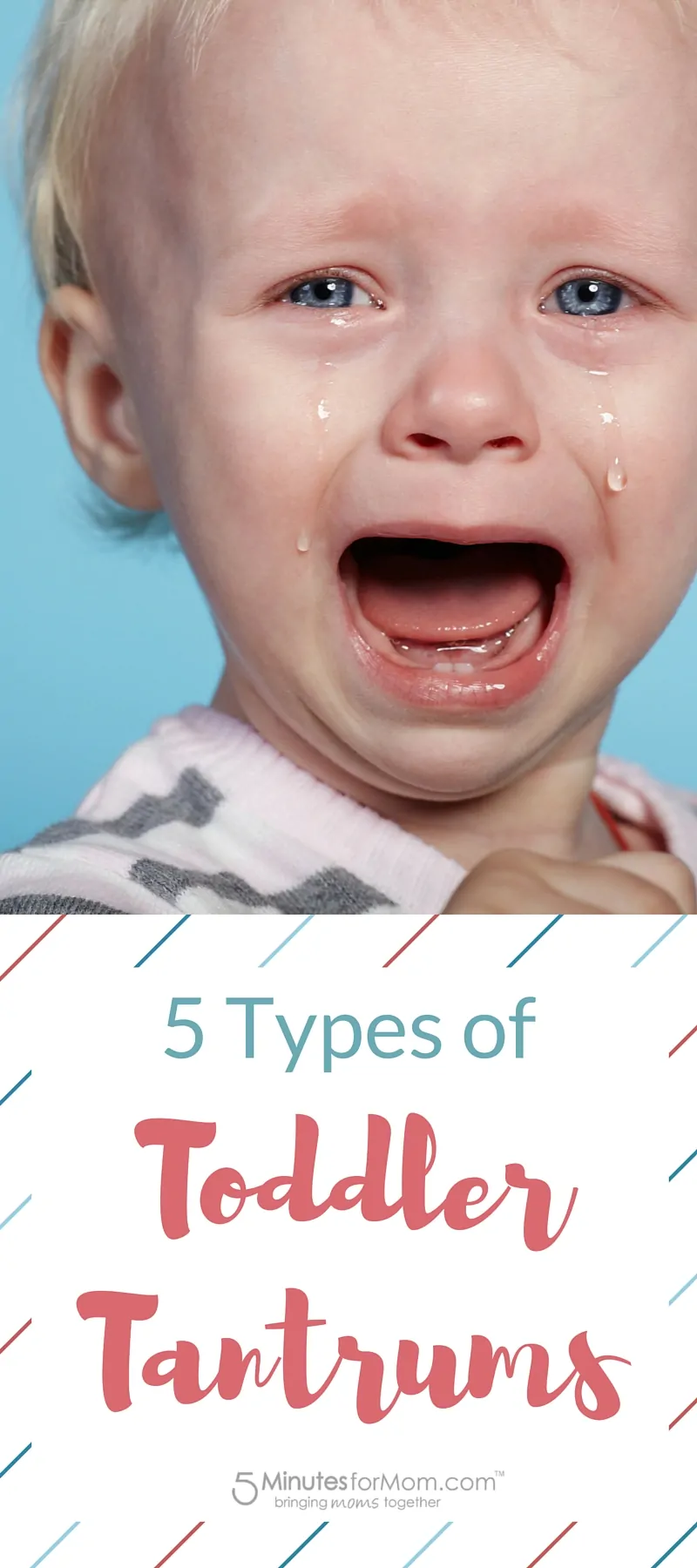 5 Types of Toddler Tantrums - Parenting Humor