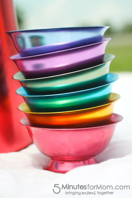BrylaneHome Picnic Review ice cream bowls