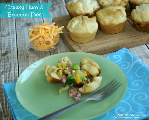 Cheesy Ham & Broccoli Pies / by Danielle @ www.BusyMomsHelper.com via 5MinutesForMom.com