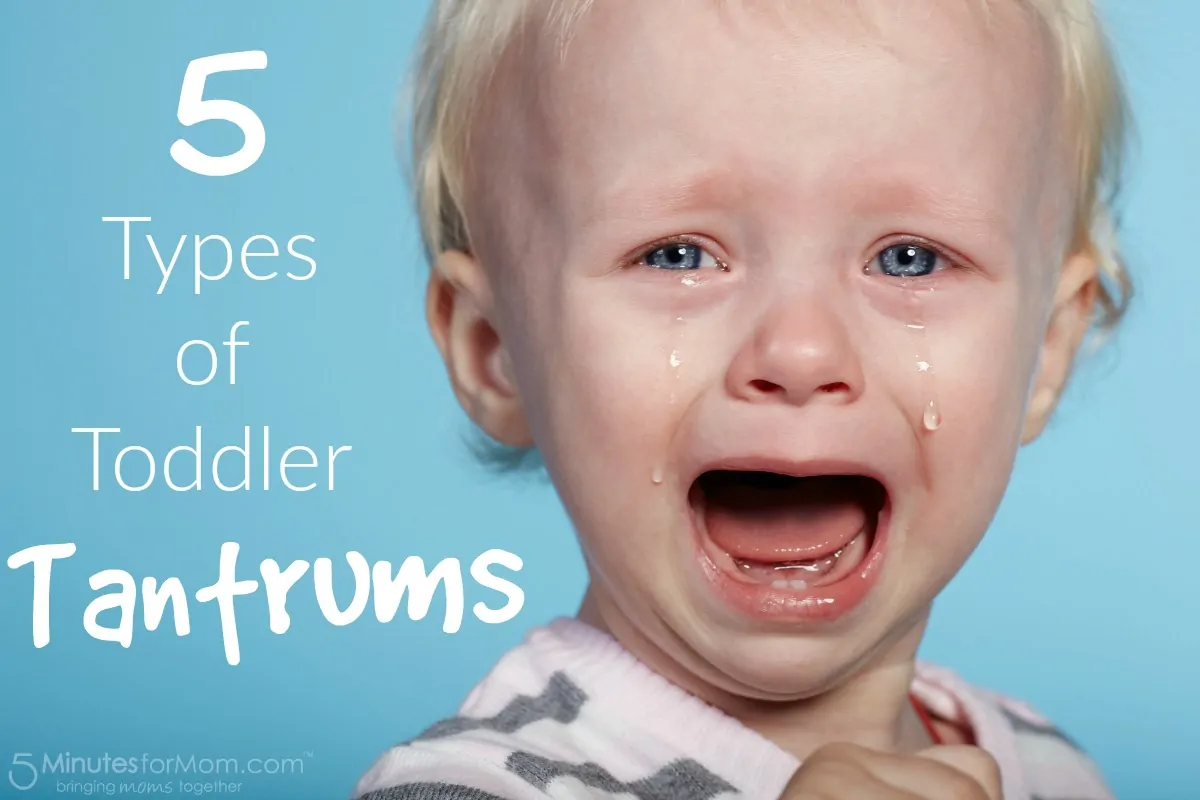 5 Types of Toddler Tantrums - Parenting Humor