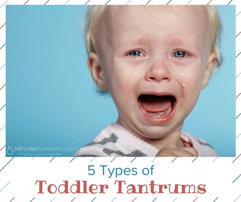 5 Types of Toddler Tantrums 5 Minutes for Mom