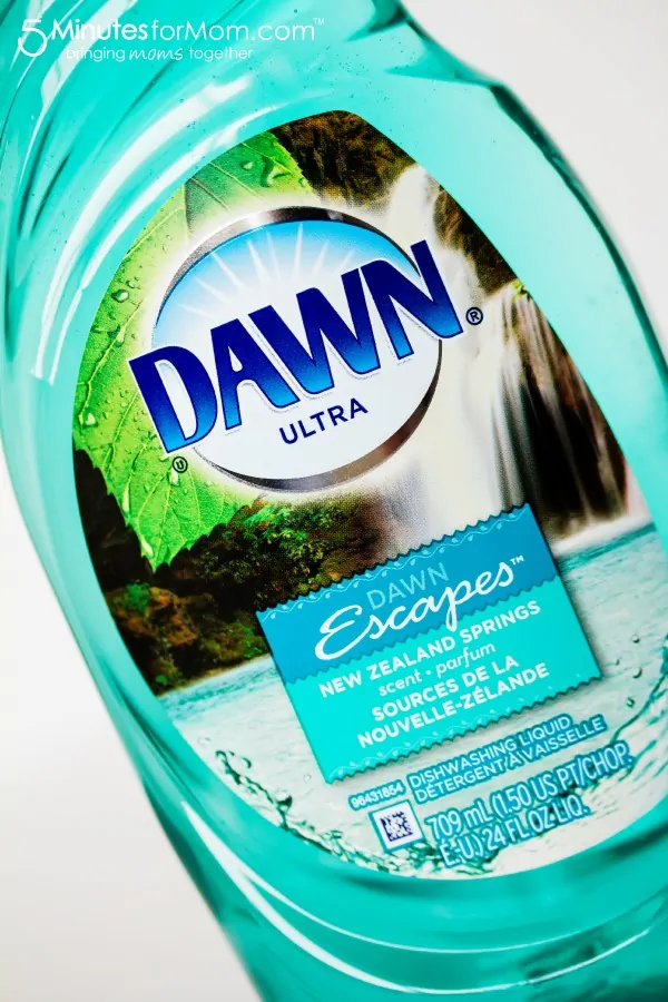 dawn-escapes-new-zealand-springs