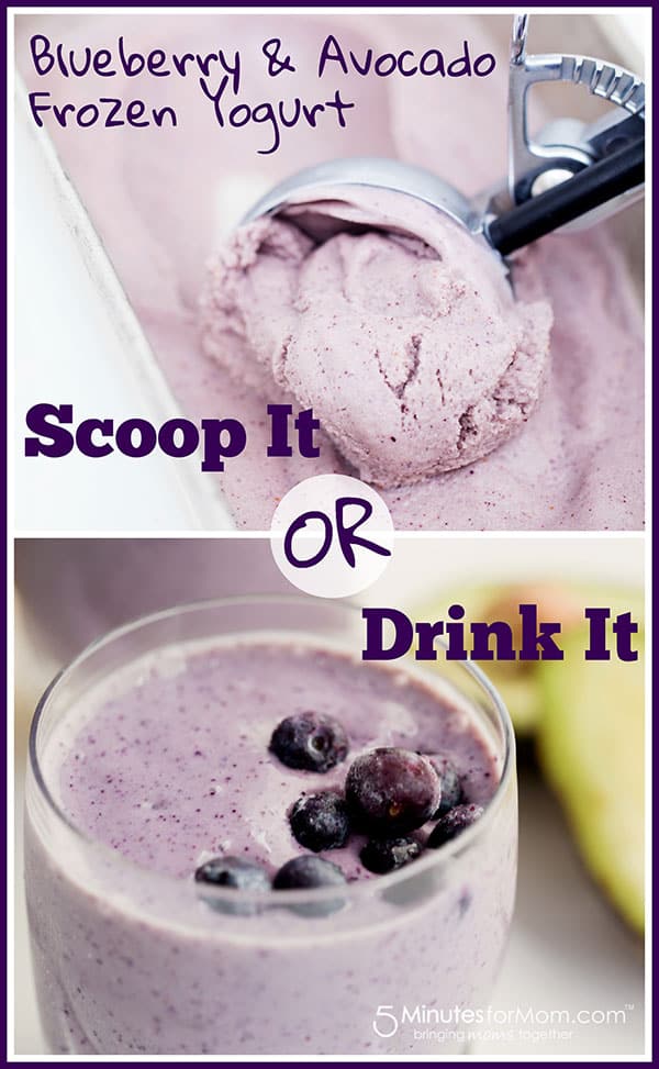 Blueberry and Avocado Frozen Yogurt and Smoothie
