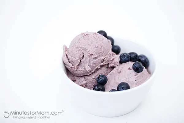 Blueberry and Avocado Frozen Yogurt No Machine