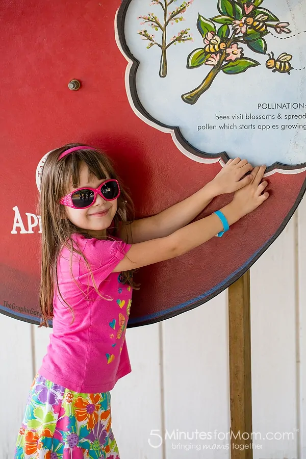 apple-barn-abbotsford-bc