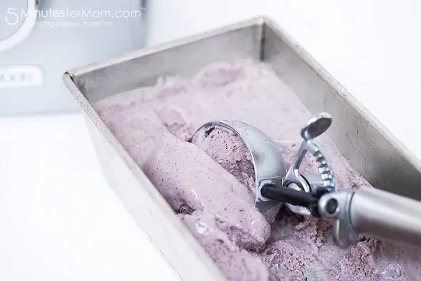 Delicious and Healthy Blueberry and Avocado Frozen Yogurt