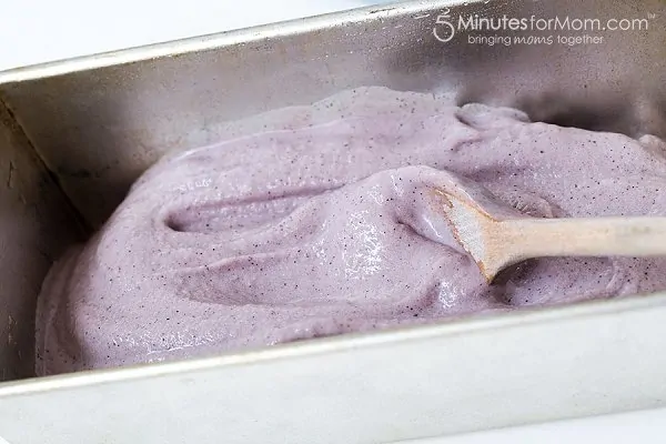 Delicious and Healthy Blueberry and Avocado Frozen Yogurt