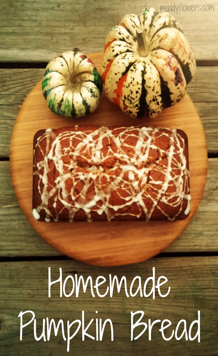 homemade-pumpkin-bread-recipe-muddy-flowers-the-taylor-house-pinterest-photo