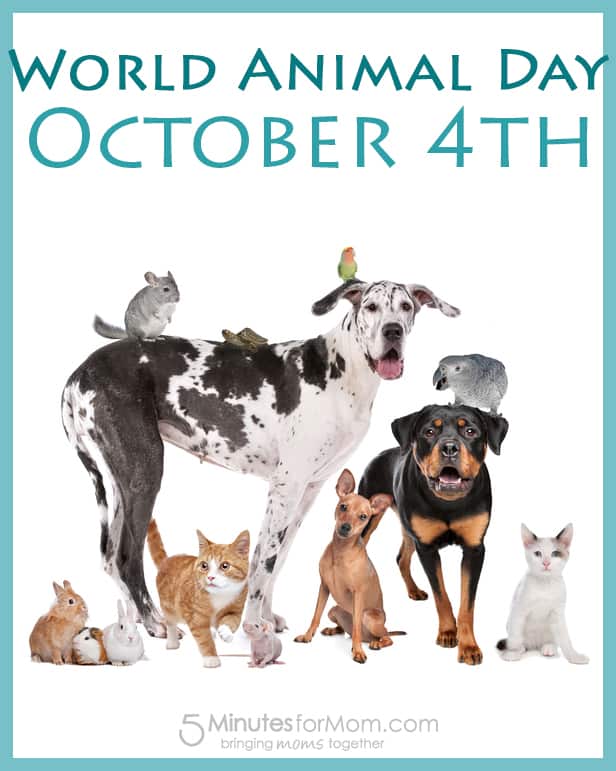 October 4th is World Animal Day October 4th is World Animal Day
