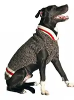 dog sweater