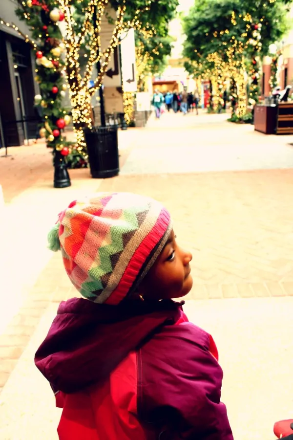 Gaylord national hotel at Christmas 