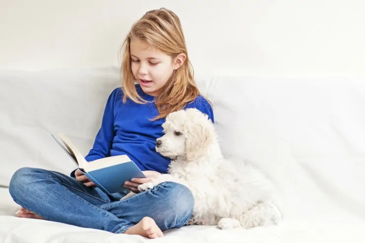 4 Book Series Your Child will Love