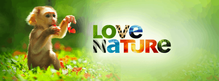 Meet "Love Nature" and Get Ready For A Wild Trip - for Mom