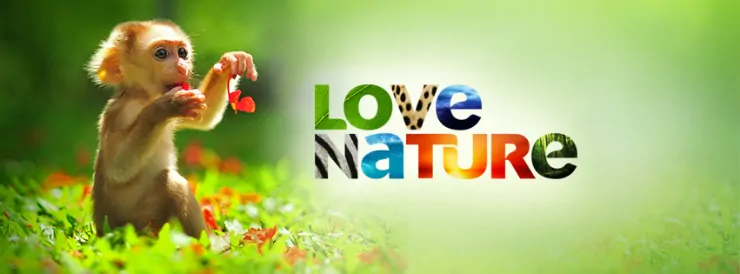 Love Nature