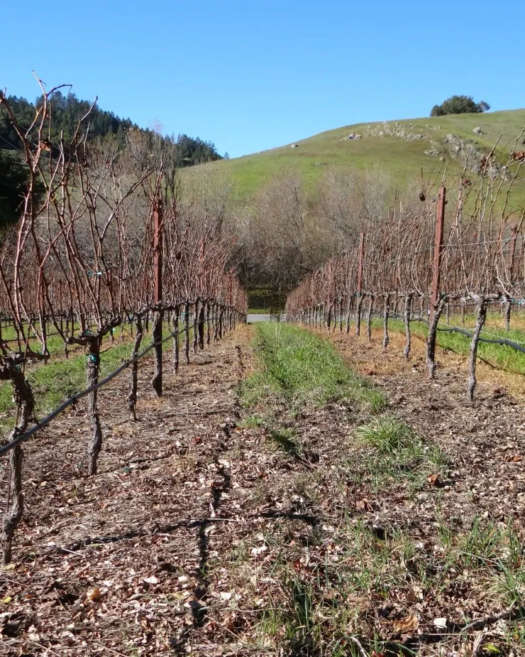 Skywalker Ranch_Grounds