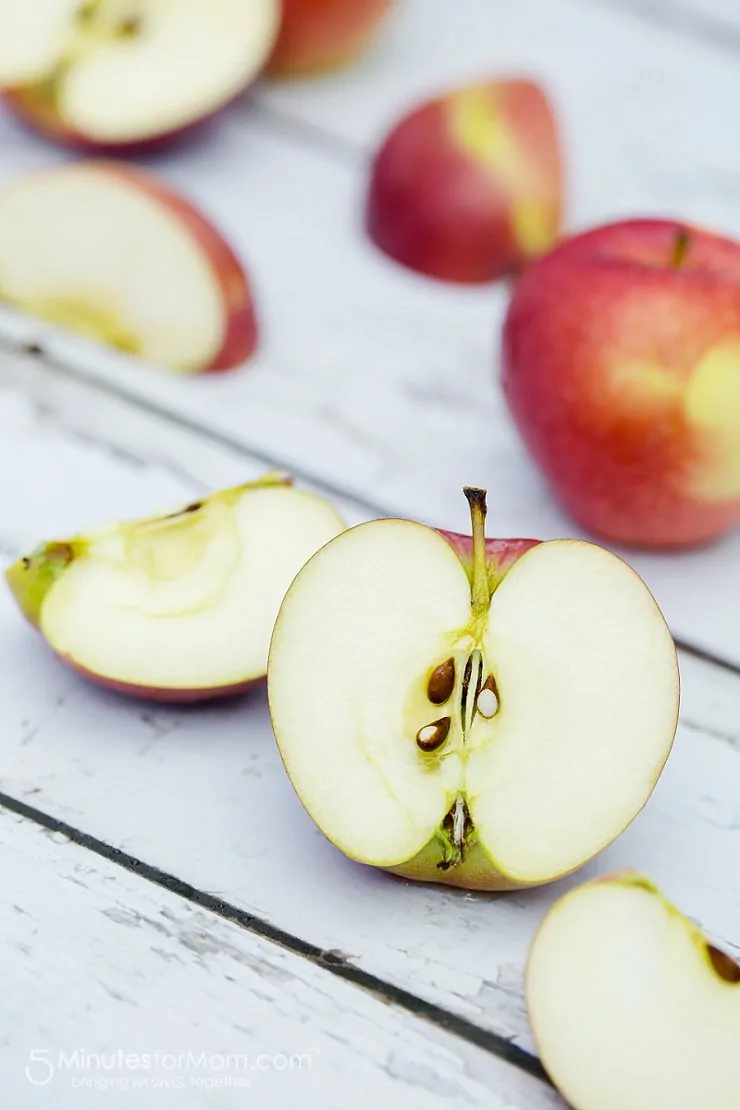 homemade applesauce