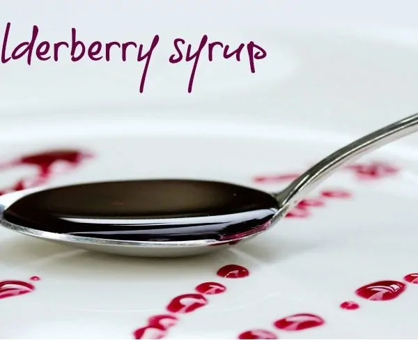 Elderberry Syrup – A Sweet Immune System Boost