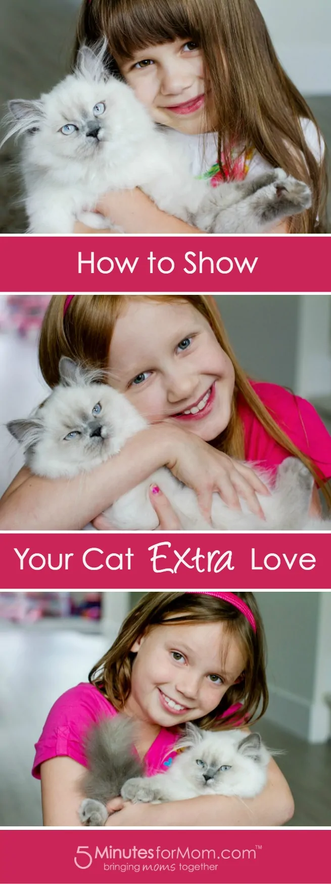 How to Show Your Cat Extra Love