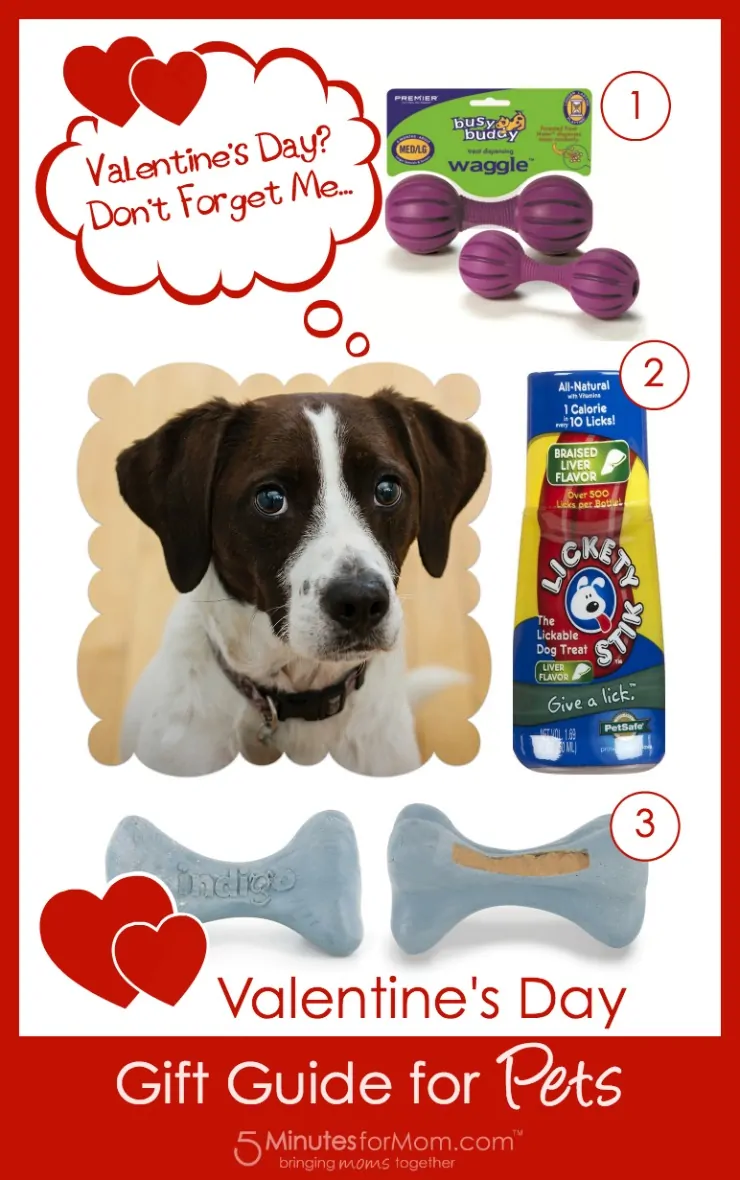 Valentines Day Gift Guide for Pets