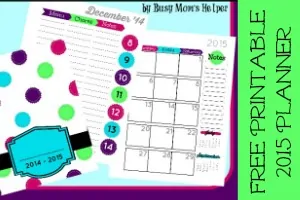 Free Printable Clothing Tracker / Busy Mom's Helper for 5MinutesforMom.com