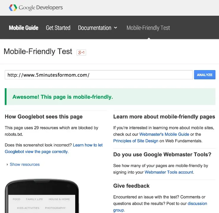 Mobile Friendly Google Test