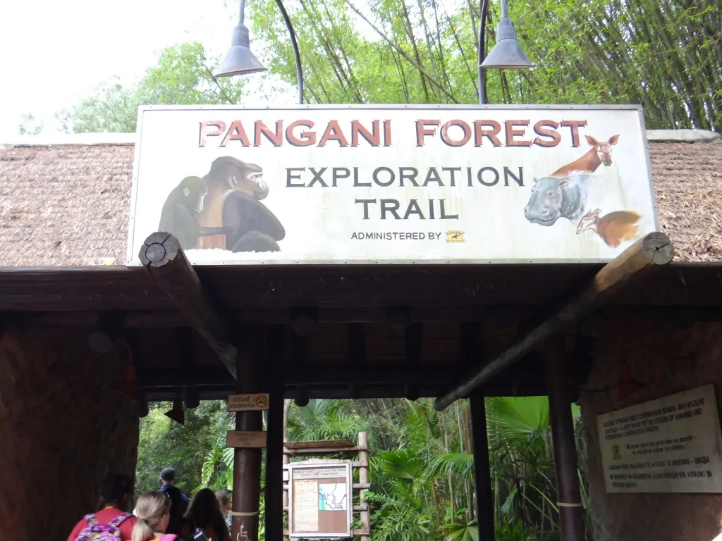 Backstage Tales - Pangani Forest