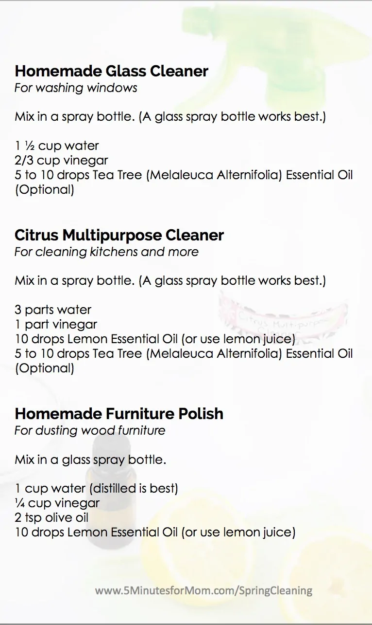 DIY Cleaning Recipes