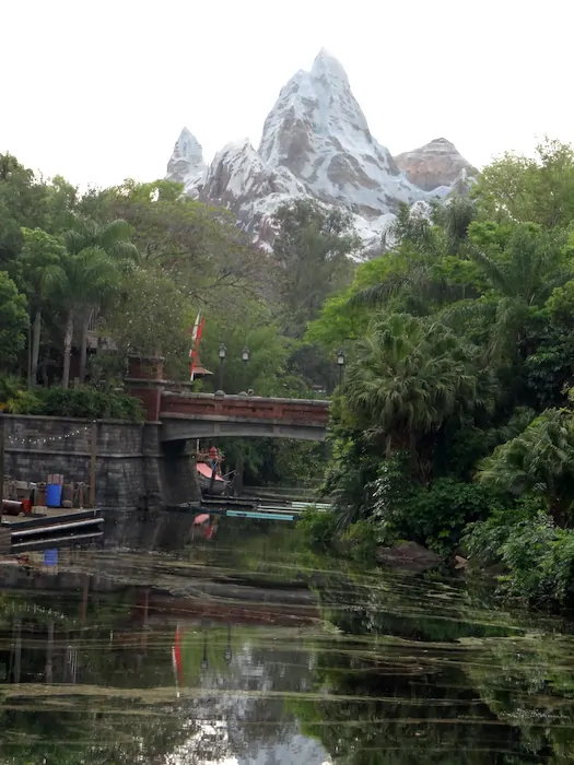 Disney's Animal Kingdom Everest