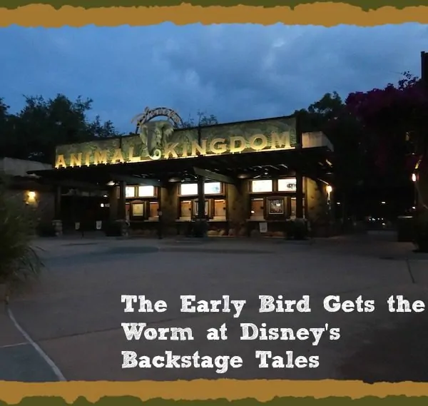 The Early Bird Gets the Worm at Disney’s Animal Kingdom with the Backstage Tales Tour – #MonkeyKingdomEvent