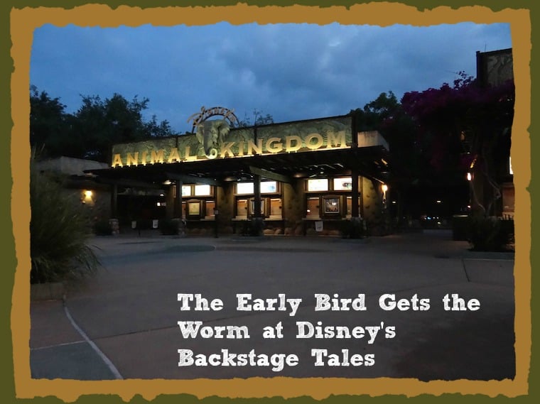 Disney's Animal Kingdom Backstage Tales Tour is a must if you love animals