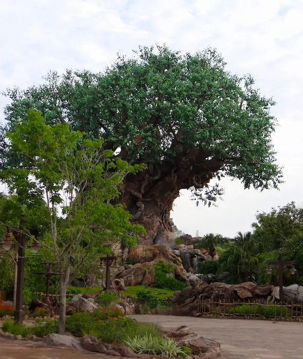 Disney's Animal Kingom Tree of Life