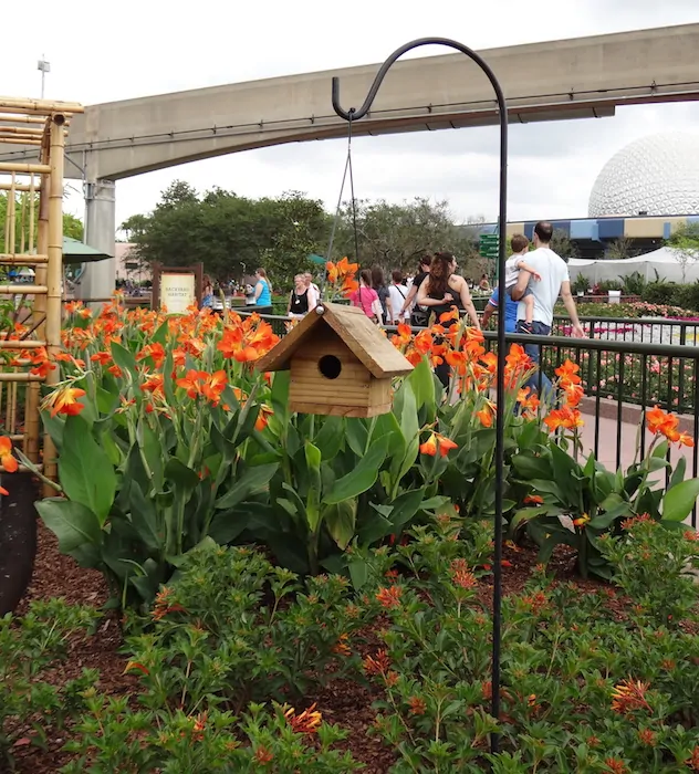 Epcot - Bird house