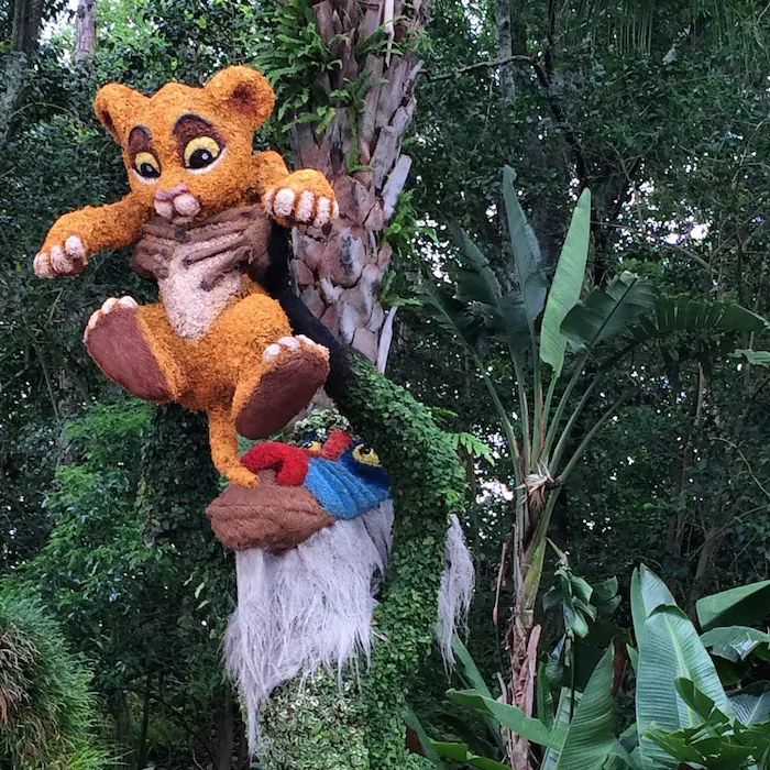 Epcot - Simba