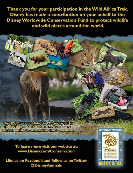 Disney Conservation Efforts