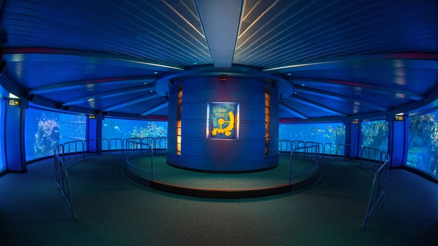 The Seas with Nemo and Friends - Undersea -Photo Credit - Disney Parks