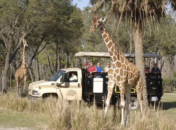 Wanyama Safari at Disney's Animal Kingdom Lodge