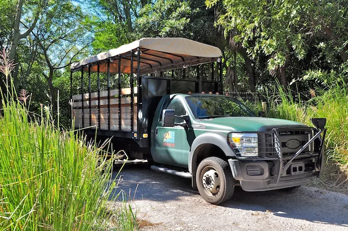 Wild Africa Trek Vehicle - Disney's Animal Kingdom