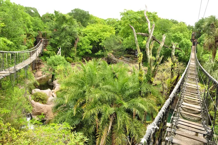 Wild Africa Trek Bridges