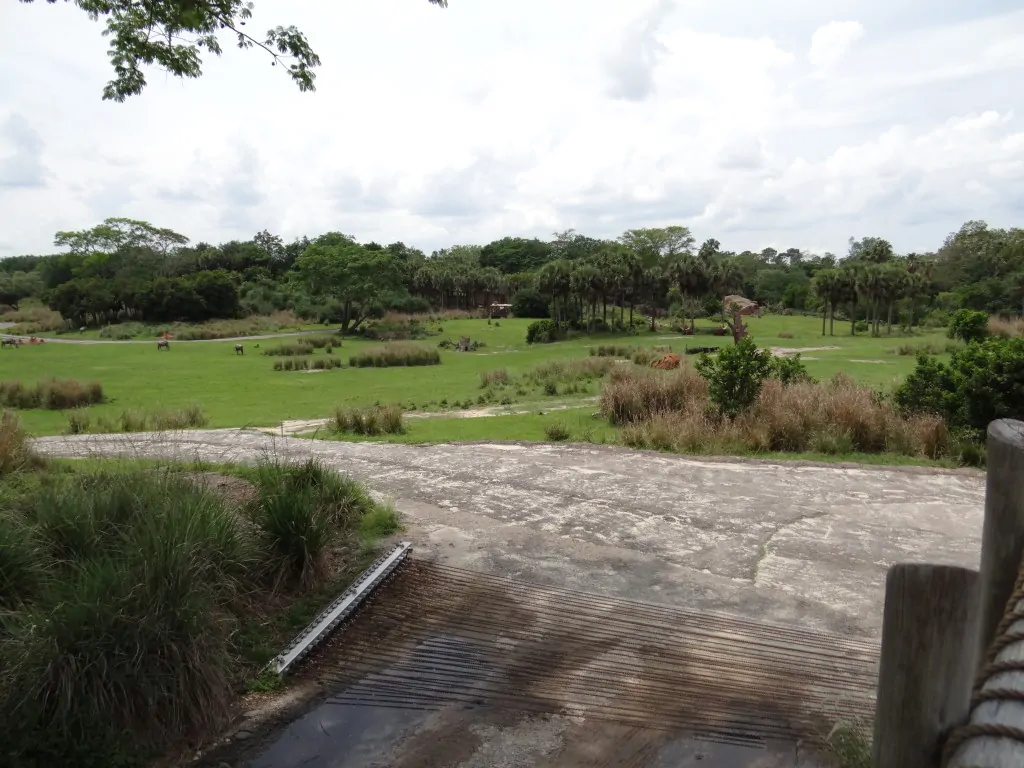 Wild Africa Trek - Lunch Location