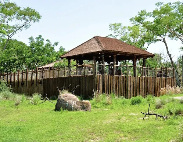 Take a VIP Expedition at Disney’s Animal Kingdom on the Wild Africa Trek – #MonkeyKingdomEvent