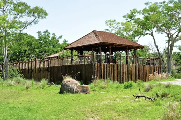 Wild Africa Trek - Lunch House