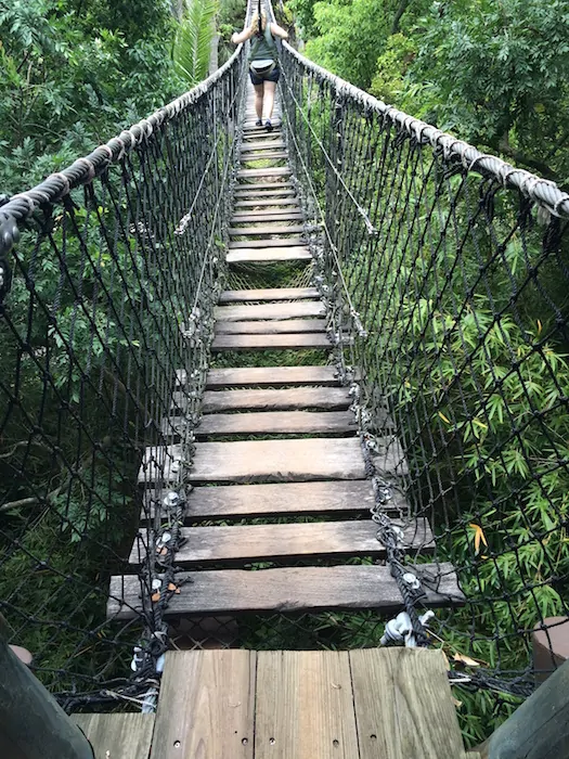 Wild Africa Trek - Rope Bridge